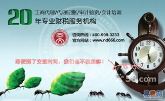 江门会计代理 汇聚五邑大学智慧，助力企业轻松起步蓬江区及周边 ————易企学企业服务平台解析财务四步走财税管理智慧说